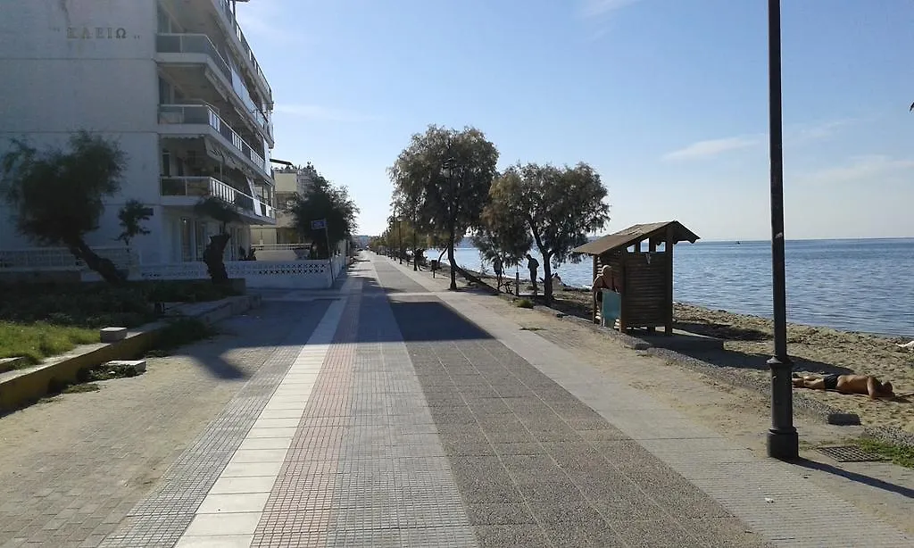 Sunny Apartments